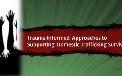 Trafficking, Trauma & Trauma-Informed Care for Domestic Violence Survivors, 2015