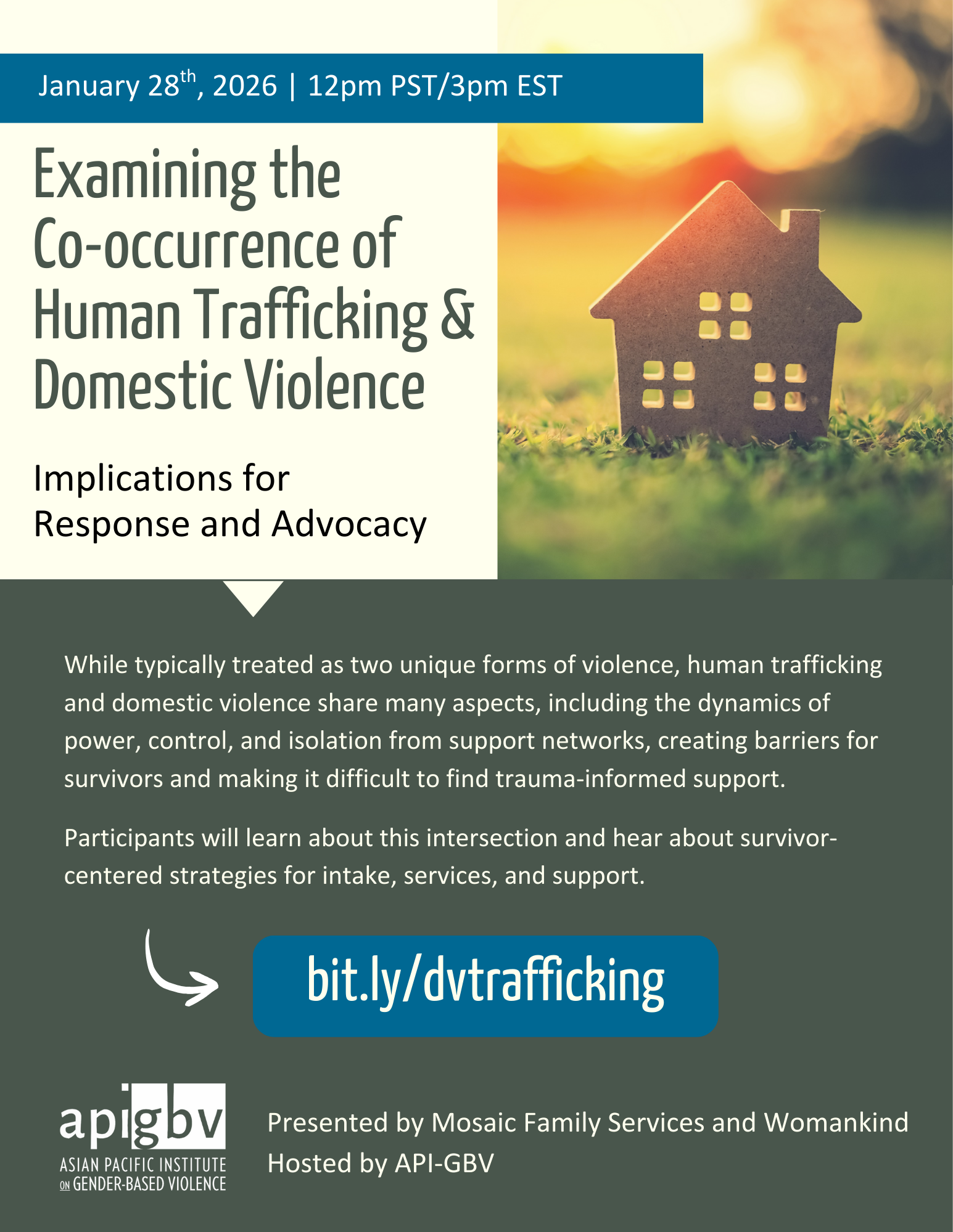 DV & Trafficking webinar (1)